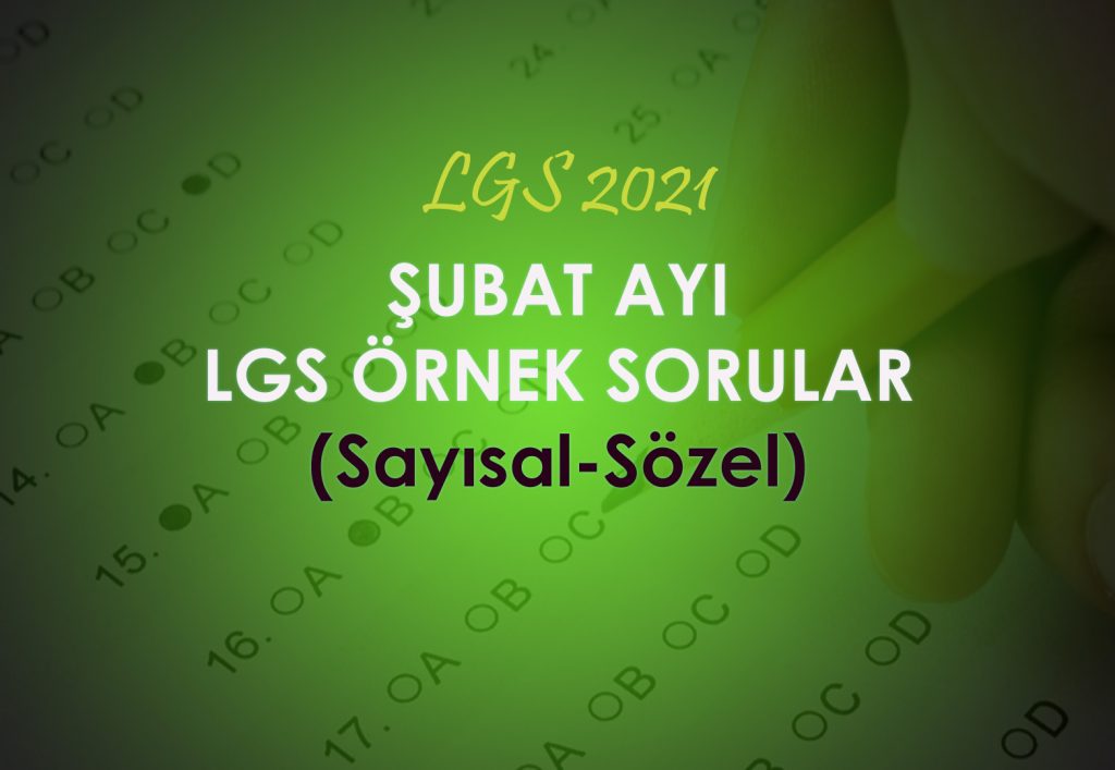 2021 Şubat Ayı Örnek Sorular LGS 2021